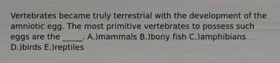 Vertebrates became truly terrestrial with the development of the amniotic egg. The most primitive vertebrates to possess such eggs are the _____. A.)mammals B.)bony fish C.)amphibians D.)birds E.)reptiles