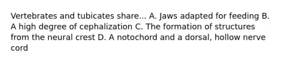 Vertebrates and tubicates share... A. Jaws adapted for feeding B. A high degree of cephalization C. The formation of structures from the neural crest D. A notochord and a dorsal, hollow nerve cord