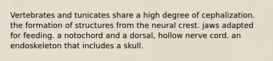 Vertebrates and tunicates share a high degree of cephalization. the formation of structures from the neural crest. jaws adapted for feeding. a notochord and a dorsal, hollow nerve cord. an endoskeleton that includes a skull.