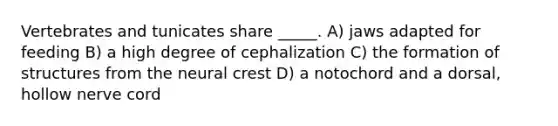 Vertebrates and tunicates share _____. A) jaws adapted for feeding B) a high degree of cephalization C) the formation of structures from the neural crest D) a notochord and a dorsal, hollow nerve cord