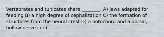 Vertebrates and tunicates share ________. A) jaws adapted for feeding B) a high degree of cephalization C) the formation of structures from the neural crest D) a notochord and a dorsal, hollow nerve cord