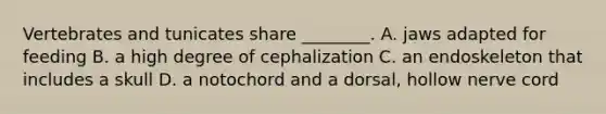 Vertebrates and tunicates share ________. A. jaws adapted for feeding B. a high degree of cephalization C. an endoskeleton that includes a skull D. a notochord and a dorsal, hollow nerve cord