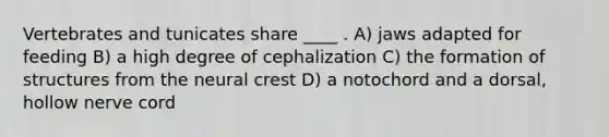 Vertebrates and tunicates share ____ . A) jaws adapted for feeding B) a high degree of cephalization C) the formation of structures from the neural crest D) a notochord and a dorsal, hollow nerve cord