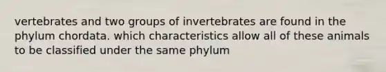 vertebrates and two groups of invertebrates are found in the phylum chordata. which characteristics allow all of these animals to be classified under the same phylum