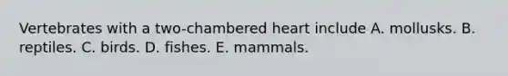 Vertebrates with a two-chambered heart include A. mollusks. B. reptiles. C. birds. D. fishes. E. mammals.