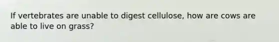 If vertebrates are unable to digest cellulose, how are cows are able to live on grass?