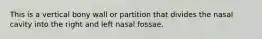 This is a vertical bony wall or partition that divides the nasal cavity into the right and left nasal fossae.