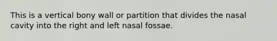 This is a vertical bony wall or partition that divides the nasal cavity into the right and left nasal fossae.