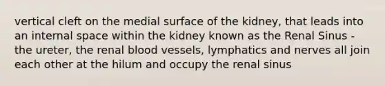 vertical cleft on the medial surface of the kidney, that leads into an internal space within the kidney known as the Renal Sinus -the ureter, the renal blood vessels, lymphatics and nerves all join each other at the hilum and occupy the renal sinus