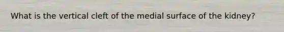 What is the vertical cleft of the medial surface of the kidney?