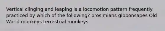 Vertical clinging and leaping is a locomotion pattern frequently practiced by which of the following? prosimians gibbonsapes Old World monkeys terrestrial monkeys