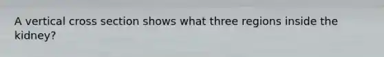A vertical cross section shows what three regions inside the kidney?
