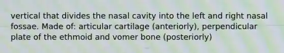 vertical that divides the nasal cavity into the left and right nasal fossae. Made of: articular cartilage (anteriorly), perpendicular plate of the ethmoid and vomer bone (posteriorly)