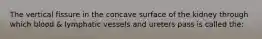 The vertical fissure in the concave surface of the kidney through which blood & lymphatic vessels and ureters pass is called the:
