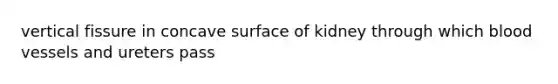 vertical fissure in concave surface of kidney through which blood vessels and ureters pass