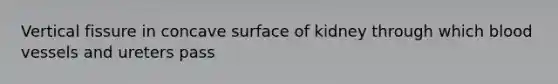 Vertical fissure in concave surface of kidney through which blood vessels and ureters pass