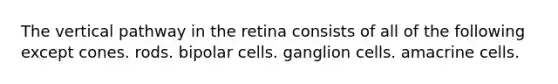 The vertical pathway in the retina consists of all of the following except cones. rods. bipolar cells. ganglion cells. amacrine cells.