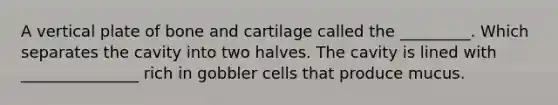 A vertical plate of bone and cartilage called the _________. Which separates the cavity into two halves. The cavity is lined with _______________ rich in gobbler cells that produce mucus.