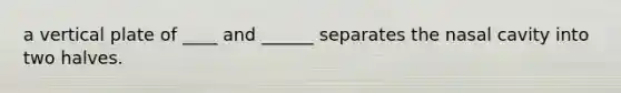 a vertical plate of ____ and ______ separates the nasal cavity into two halves.