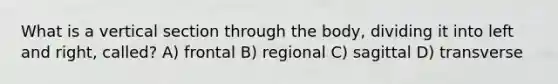 What is a vertical section through the body, dividing it into left and right, called? A) frontal B) regional C) sagittal D) transverse