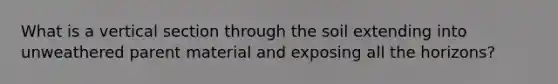 What is a vertical section through the soil extending into unweathered parent material and exposing all the horizons?