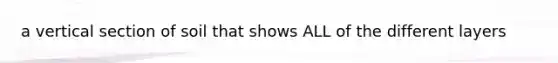 a vertical section of soil that shows ALL of the different layers