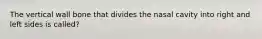 The vertical wall bone that divides the nasal cavity into right and left sides is called?