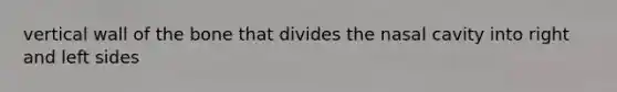 vertical wall of the bone that divides the nasal cavity into right and left sides