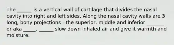 The ______ is a vertical wall of cartilage that divides the nasal cavity into right and left sides. Along the nasal cavity walls are 3 long, bony projections - the superior, middle and inferior _______ or aka _____. ______ slow down inhaled air and give it warmth and moisture.