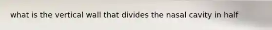 what is the vertical wall that divides the nasal cavity in half