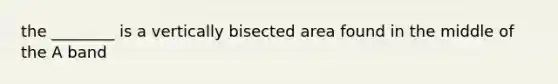 the ________ is a vertically bisected area found in the middle of the A band