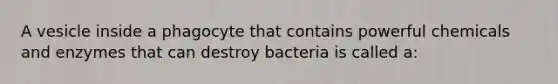 A vesicle inside a phagocyte that contains powerful chemicals and enzymes that can destroy bacteria is called a: