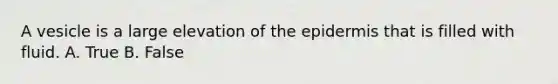 A vesicle is a large elevation of the epidermis that is filled with fluid. A. True B. False