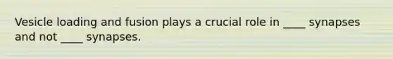 Vesicle loading and fusion plays a crucial role in ____ synapses and not ____ synapses.