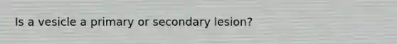 Is a vesicle a primary or secondary lesion?