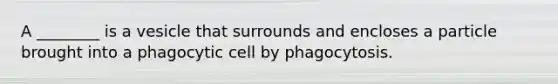 A ________ is a vesicle that surrounds and encloses a particle brought into a phagocytic cell by phagocytosis.