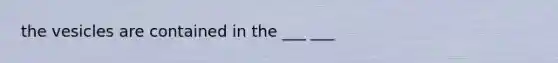 the vesicles are contained in the ___ ___