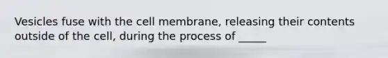 Vesicles fuse with the cell membrane, releasing their contents outside of the cell, during the process of _____