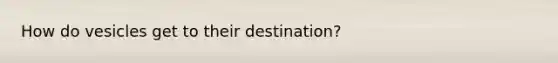 How do vesicles get to their destination?