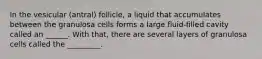 In the vesicular (antral) follicle, a liquid that accumulates between the granulosa cells forms a large fluid-filled cavity called an ______. With that, there are several layers of granulosa cells called the _________.