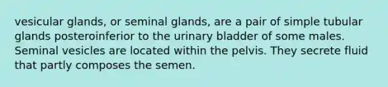 vesicular glands, or seminal glands, are a pair of simple tubular glands posteroinferior to the urinary bladder of some males. Seminal vesicles are located within the pelvis. They secrete fluid that partly composes the semen.