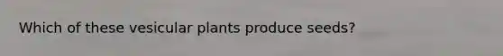 Which of these vesicular plants produce seeds?