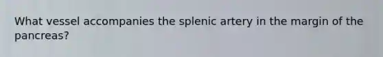 What vessel accompanies the splenic artery in the margin of the pancreas?