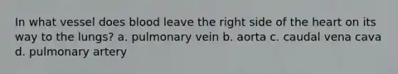 In what vessel does blood leave the right side of the heart on its way to the lungs? a. pulmonary vein b. aorta c. caudal vena cava d. pulmonary artery