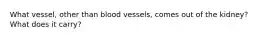 What vessel, other than blood vessels, comes out of the kidney? What does it carry?