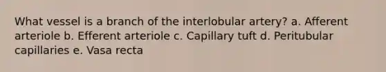 What vessel is a branch of the interlobular artery? a. Afferent arteriole b. Efferent arteriole c. Capillary tuft d. Peritubular capillaries e. Vasa recta