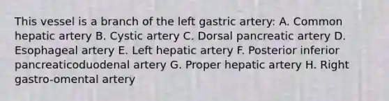 This vessel is a branch of the left gastric artery: A. Common hepatic artery B. Cystic artery C. Dorsal pancreatic artery D. Esophageal artery E. Left hepatic artery F. Posterior inferior pancreaticoduodenal artery G. Proper hepatic artery H. Right gastro-omental artery