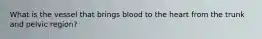 What is the vessel that brings blood to the heart from the trunk and pelvic​ region?