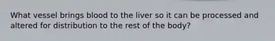 What vessel brings blood to the liver so it can be processed and altered for distribution to the rest of the body?