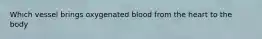 Which vessel brings oxygenated blood from the heart to the body